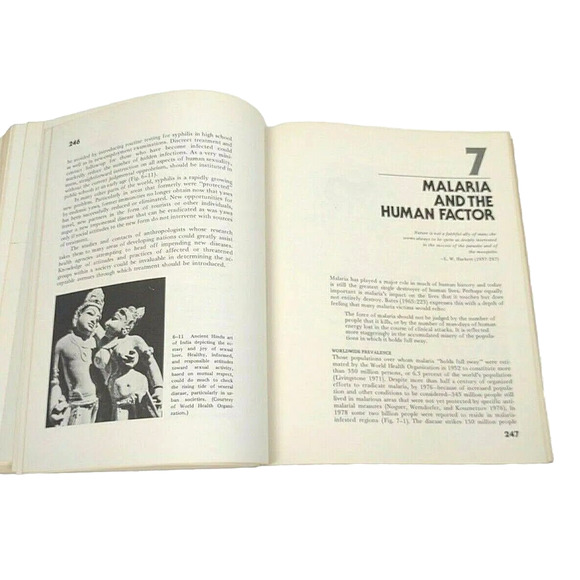 1979 Human Sickness and Health: A Biocultural View by Wood Corinne Shear - Picture 5 of 9